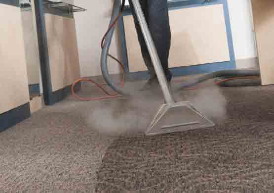 Professional Carpet Cleaning Services Rivervale